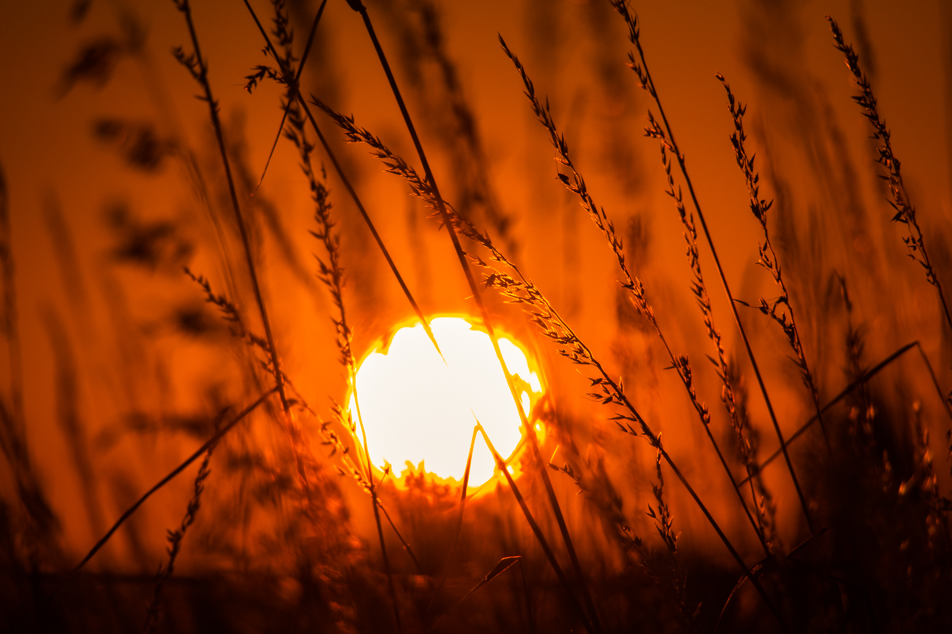 2018-07-07-Sonnenuntergang1.jpg